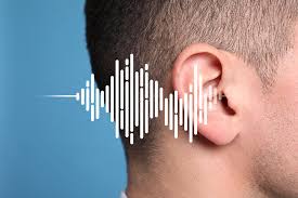 Hearing Aid